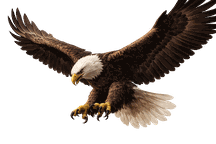 Civic & Federal Access Intelligence